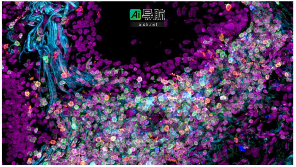 助力药物发现的 AI 技术探索
