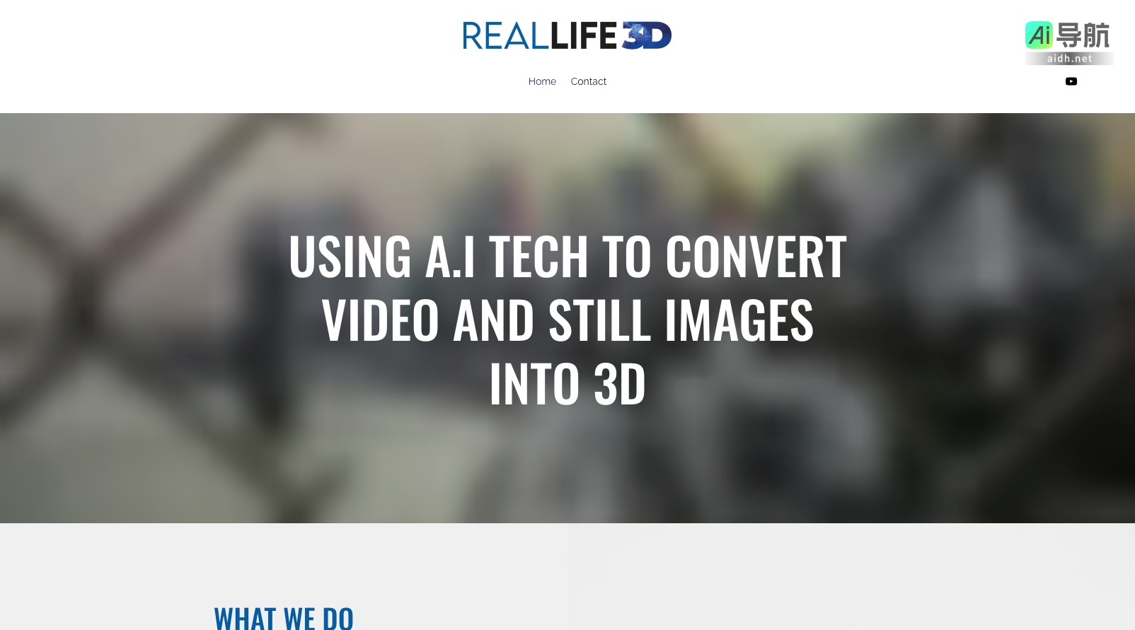 Real Life 3D的封面图