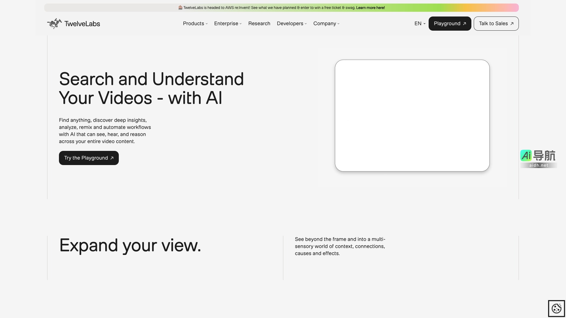 TwelveLabs的封面图