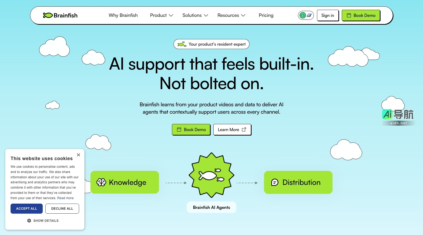 Brainfish的封面图