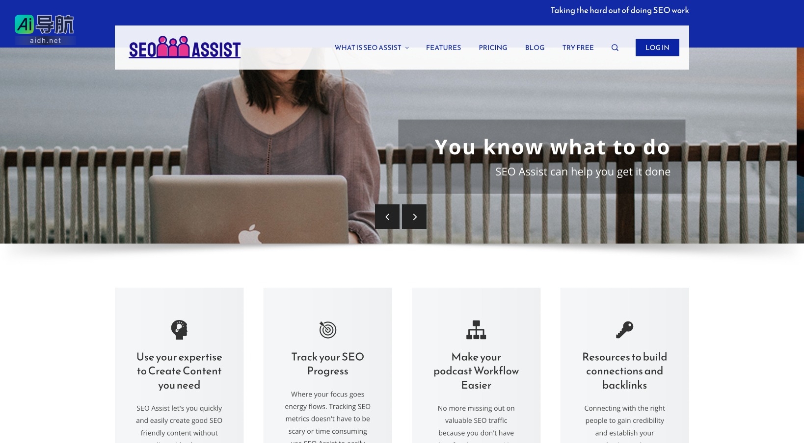 SEO ASSIST的封面图