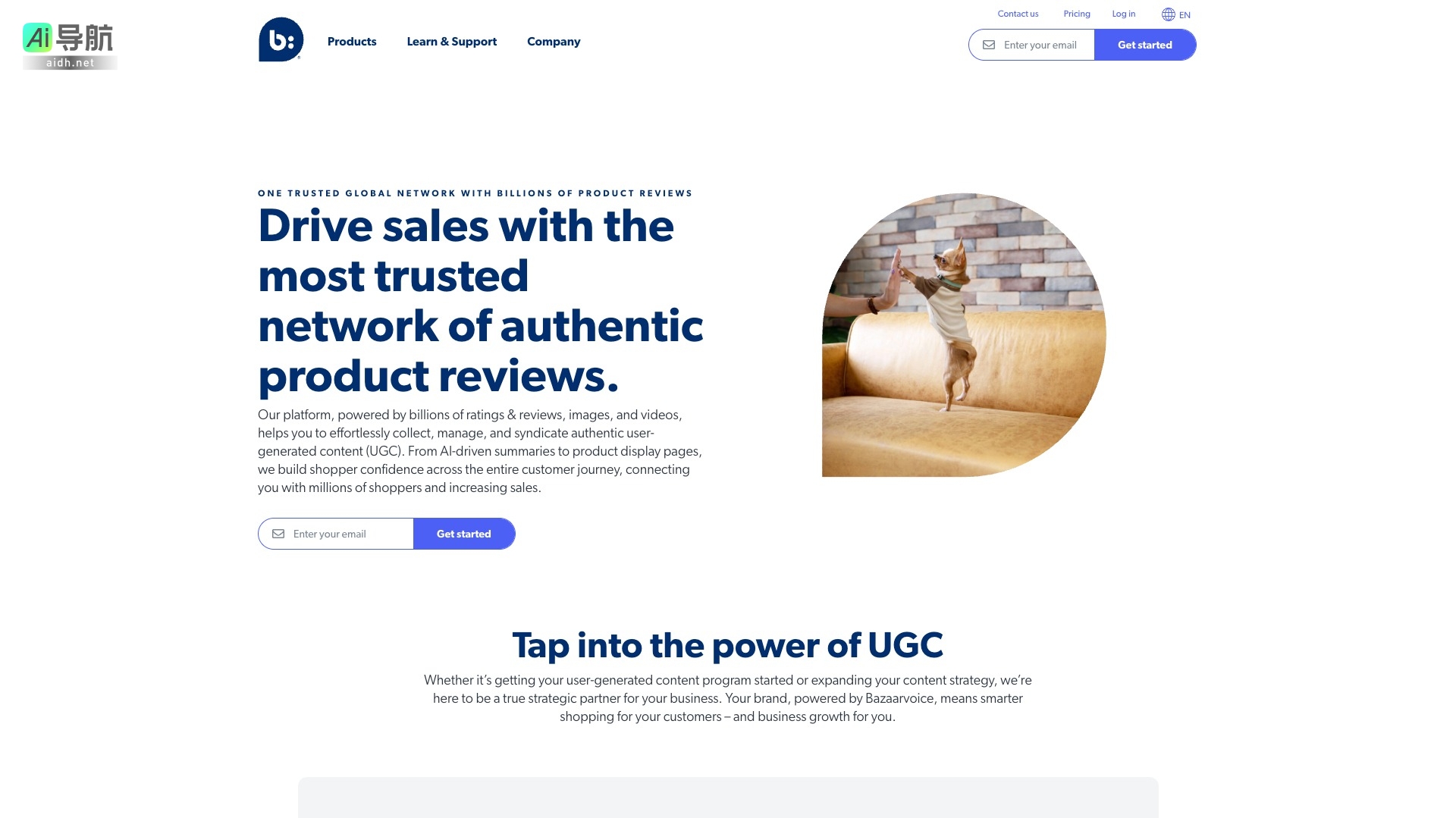 Bazaarvoice的封面图