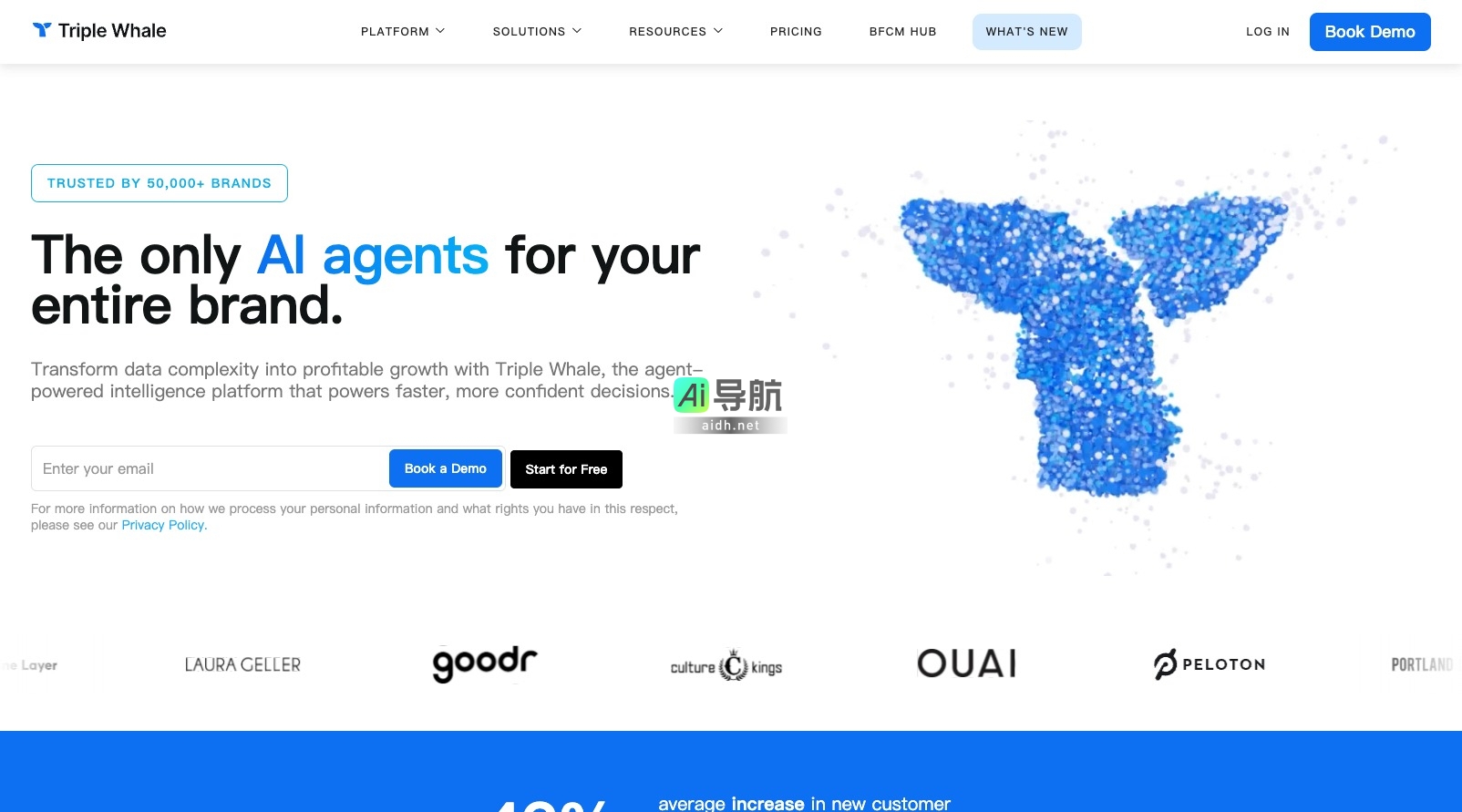 Triple Whale的封面图