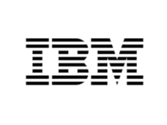 IBM Watsonx.ai 平台新增 DeepSeek R1 蒸馏模型,助力企业级 AI 开发