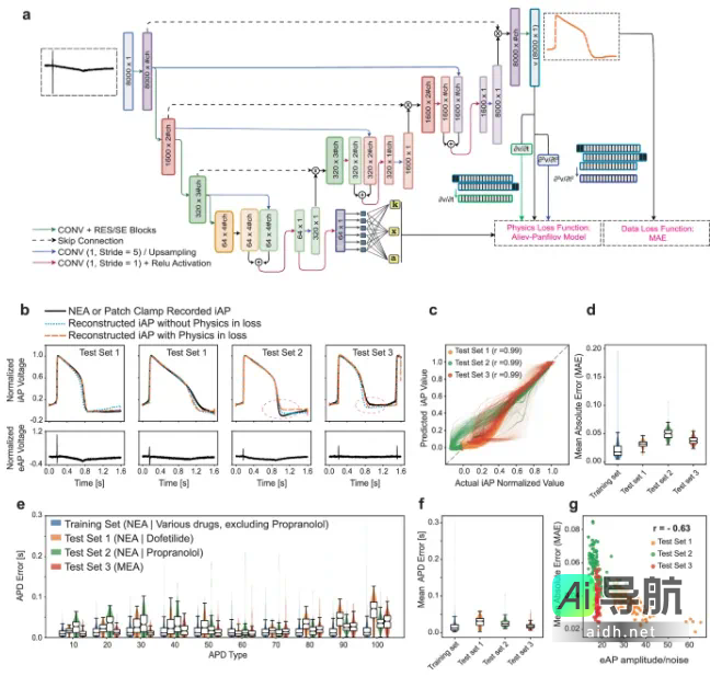 无须侵入，AI创新重塑细胞电活动，革新药物心脏毒性评估方法