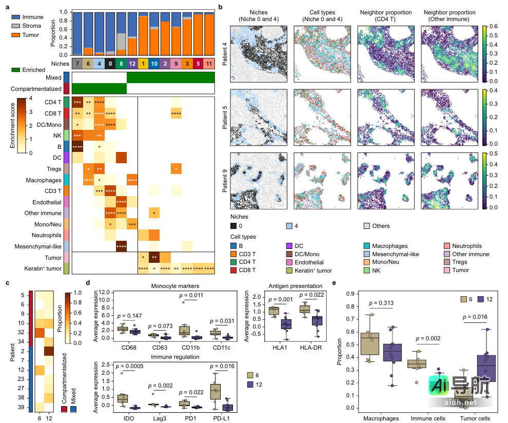 浙大scNiche框架实现突破性进展，精准识别细胞生态位，推动精准医疗发展