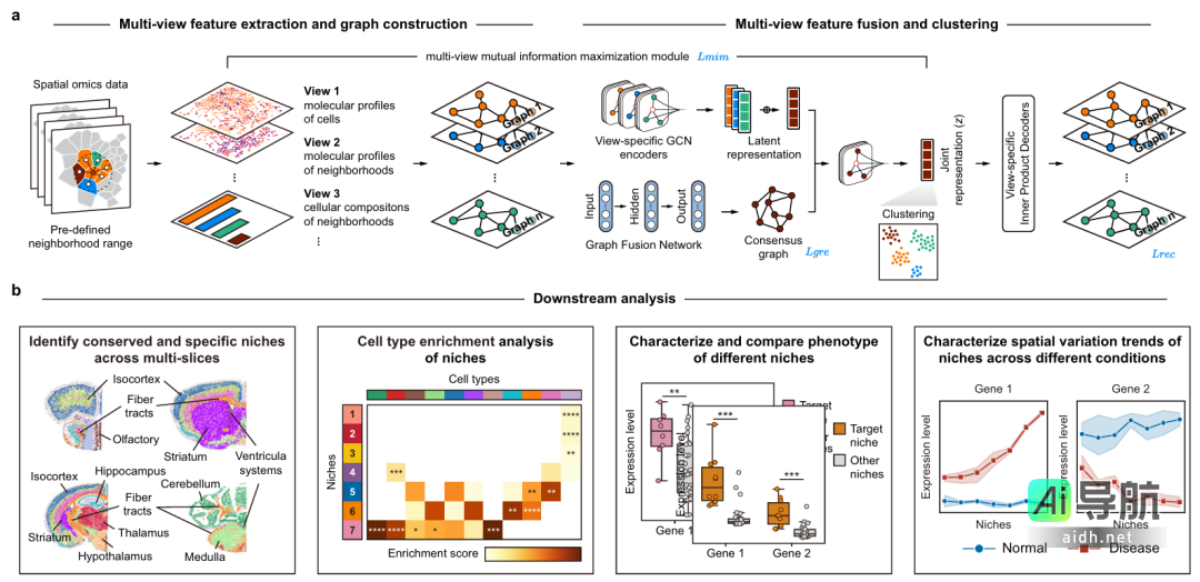 浙大scNiche框架实现突破性进展，精准识别细胞生态位，推动精准医疗发展