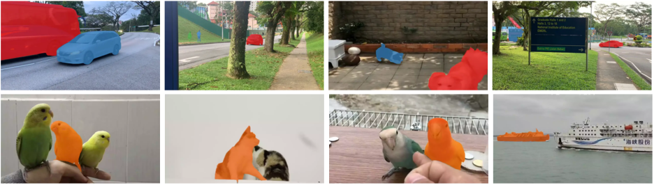 PVUW视频分割研讨会@CVPR 2025 | 征集论文！举办比赛！