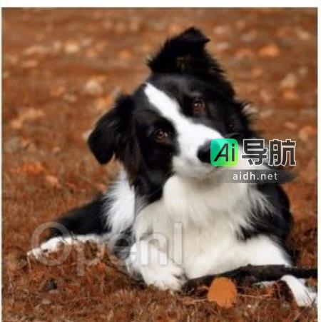 NeurIPS 2023 | 人类智能启发，全新数据增强范式GIF框架发布