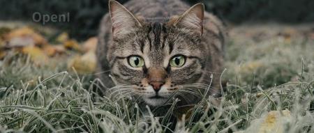 华为中秋节献礼：员工获赠Mate60手机；商汤科技原知产总监涉案被侦查；马斯克年终奖狂飙达33亿元 | AI一周速递