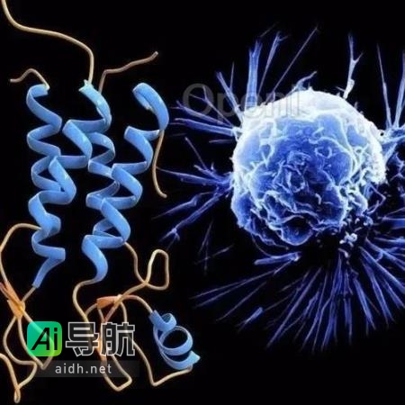 癌细胞如何利用细胞竞争躲避免疫系统：新研究揭示