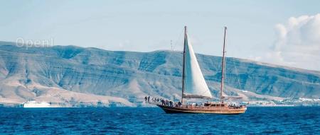 AIGC亏钱真相揭秘：网易杭研如何抓住大模型的价值