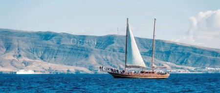 AI浪潮助力小岛 GDP 实现10%增长