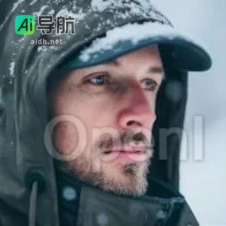 谷歌DeepMind最新发布Imagen 2：挑战你的视觉AI识别能力