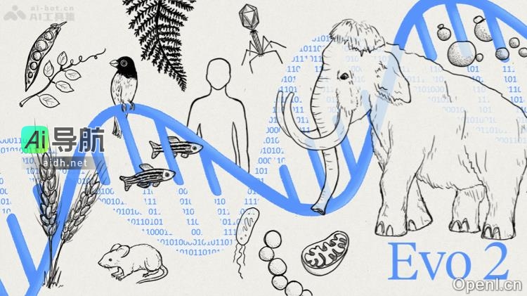 EVO 2：下一代的革新