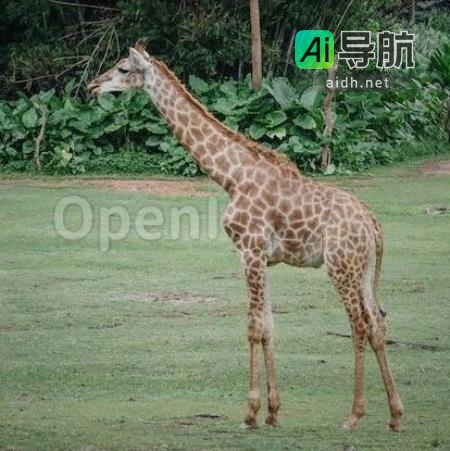 LLaMA2上下文扩展至100k：MIT和港中文引入LongLoRA方法