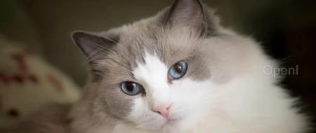 银行工程师离职删除数据库被判两年监禁，华为被指采用“财散人聚”机制致成功，GPT-4.5被质疑售价是GPT-4的6倍｜AI周报