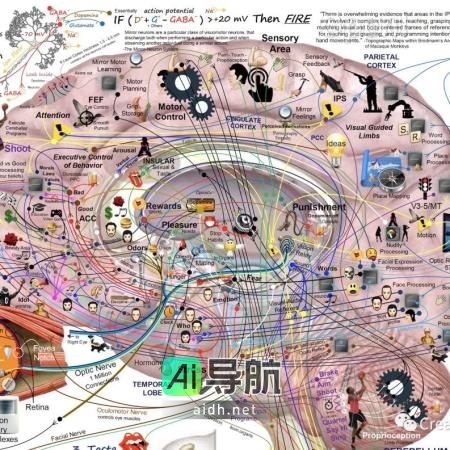 大脑理论与框架整合