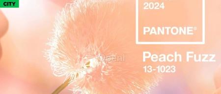 PANTONE 公布 2024 年代表色，为整个 2023 带来治愈之光