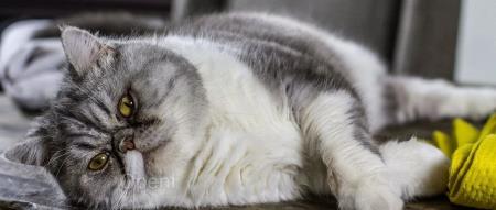 互联网巨头集体宕机：是成本下降还是“笑”点增加惹的祸？