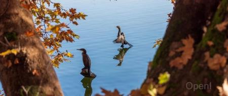 解析云原生数据库 GaiaDB 的架构设计：实现高性能和多级高可用