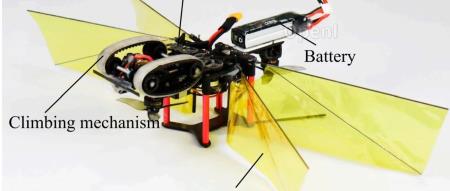 南航机器昆虫炫酷飞行特技：壁面起落无缝衔接，超级顺滑