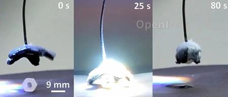 基尔大学成功研发水凝胶新材料：模拟人类肌肉，实现短时间内受控扩张与收缩