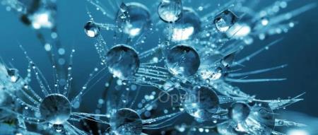 清华团队提出基于知识引导的图 Transformer 预训练框架，助力分子表征学习