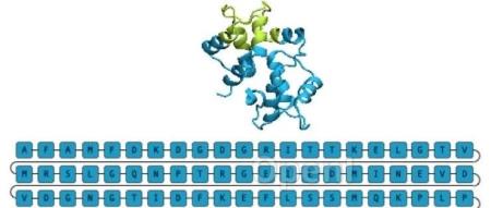 微软开源新型蛋白质生成AI框架EvoDiff，利用进化扩散进行蛋白生成
