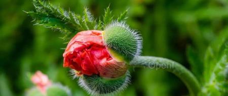 联想主力出货机型将内嵌英特尔 AI PC 国内落地混合 AI 算力