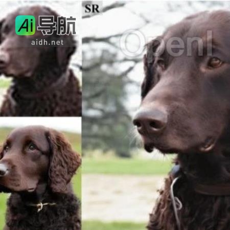 华为诺亚联手清华大学发布基于认知的万物超分大模型CoSeR