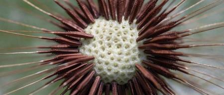 三种实现多模态大模型的方法，文末有赠书