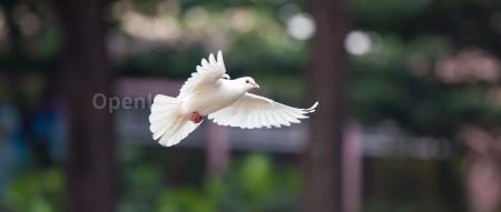 首届 FCon 全球金融科技大会：引领金融数字化之路