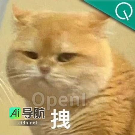 10人只用两个月时间打造出大型模型，一年内发表16篇顶级会议论文支持：市面上没有任何开源项目能与之匹敌