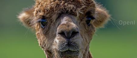 小度科技创始人景鲲离职，由CIO李莹接任CEO；苹果应用商店发现黄色应用，已做出回应；微软或于10月13日收购暴雪 | AI一周资讯