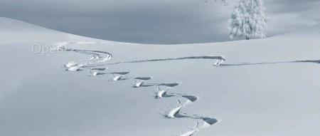 英特尔高宇：AI 工作负载多样规模，硬件无一解决方案