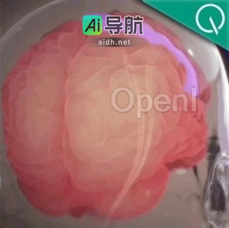 马斯克脑机接口公司完成新一轮融资4300万美元，发布临床试验宣传片，网友迫不及待想了解更多！