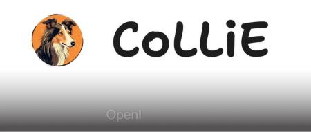 复旦发布大规模训练效率工具 CoLLiE，为国货之光助力效率提升