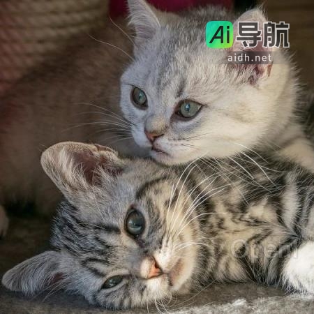 百川发布全新 Baichuan2-Turbo 系列 API 产品：打造“大模型+搜索增强” 技术栈，解决 99% 定制化需求