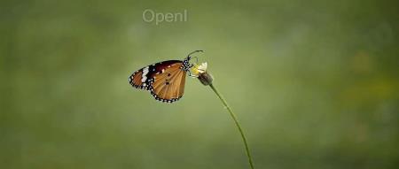 腾讯公布最新大型模型训练方法：提升效率至 2.6 倍，降低 50% 算力成本