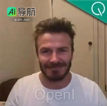 各路名人实时DeepFake！轻松一键实现名字换脸