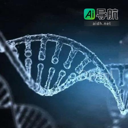 港中大团队利用大型蛋白质语言模型提升分类性能10%，发现未知的信号肽