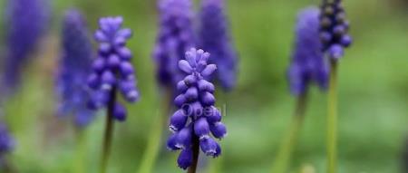 英伟达成为人工智能公司主要投资者，前提是必须采用英伟达产品