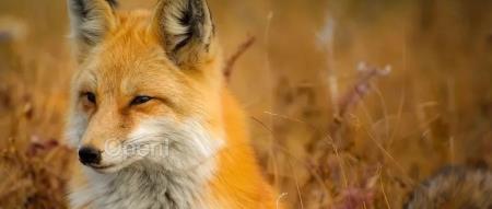 外企因研发撤离中国创下N+8最高赔偿纪录；OpenAI回应GPT-4懒散行为；周星驰领衔的Web3团队App将于下月上线 | AI一周资讯