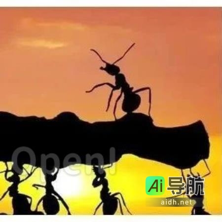 揭示复杂性系统的四大规律：以蚂蚁社会为例