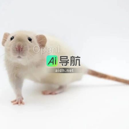 柔性脊柱技术让老鼠机器人实力大增，Science Robotics最新研究揭秘！