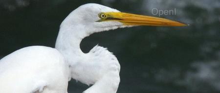 全新文件存储技术登陆中国市场，实现跨云数据复制和备份