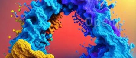 Transformer 模型在评估蛋白质结合界面中的应用：区分天然蛋白复合物和不正确构象