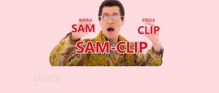 苹果携手UIUC发布SAM-CLIP统一视觉模型，引领多模态新风尚