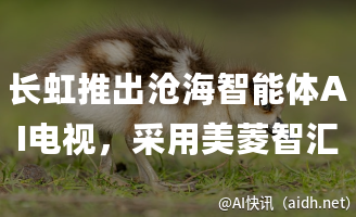 长虹推出沧海智能体AI电视,采用美菱智汇家AI大模型驱动的封面图